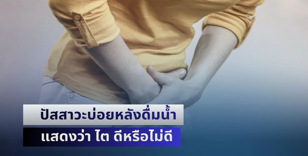 หลายคนยังไม่รู้! ปัสสาวะบ่อยหลังดื่มน้ำ แสดงว่า ไต ดีหรือไม่ดี