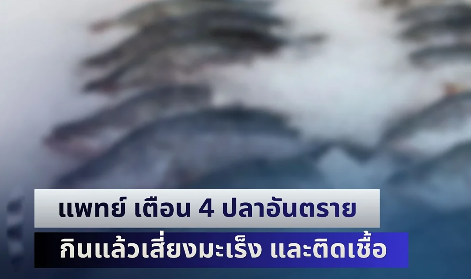 ระวังด่วน! แพทย์ เตือน 4 ปลาอันตราย กินแล้วเสี่ยงมะเร็ง และติดเชื้อ