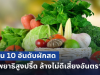 ระวังด่วน! เตือน 10 อันดับผักสด แต่พยาธิสูงปรี๊ด ล้างไม่ดีเสี่ยงอันตรายสุดๆ