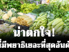 น่าตกใจ! ผักที่มีพยาธิเยอะที่สุดอันดับ 1 คนไทยนิยมกินสด