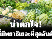 น่าตกใจ! ผักที่มีพยาธิเยอะที่สุดอันดับ 1 คนไทยนิยมกินสด