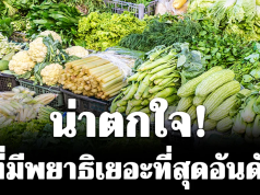 น่าตกใจ! ผักที่มีพยาธิเยอะที่สุดอันดับ 1 คนไทยนิยมกินสด