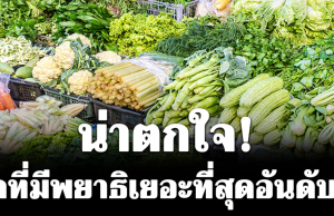 น่าตกใจ! ผักที่มีพยาธิเยอะที่สุดอันดับ 1 คนไทยนิยมกินสด
