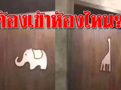 งงทั้งห้าง! เจอสัญลักษณ์ “ช้าง” กับ “ยีราฟ” หน้าห้องน้ำ แบบนี้ต้องเข้าฝั่งไหน?