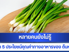 หลายคนยังไม่รู้ เปิด 5 ประโยชน์คุณค่าทางอาหารของ ต้นหอม