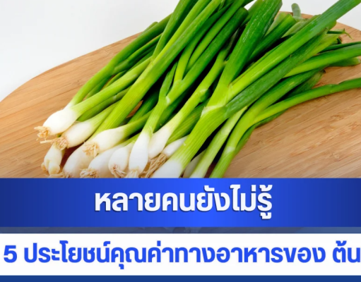 หลายคนยังไม่รู้ เปิด 5 ประโยชน์คุณค่าทางอาหารของ ต้นหอม