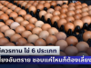 อย่าไปกินนะ! นักโภชนาการเตือน ไม่ควรทาน ไข่ 6 ประเภท เสี่ยงอันตราย ชอบแค่ไหนก็ต้องเลี่ยง